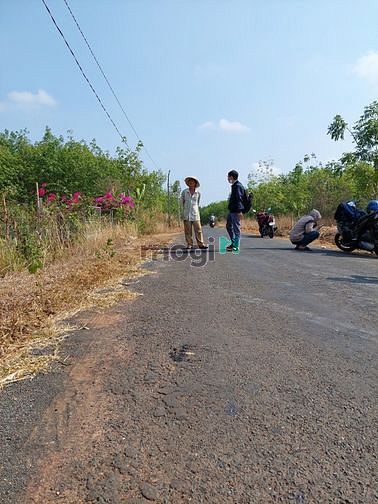Hình ảnh MB66 là nhà cái uy tín hàng đầu tại Việt Nam thanh lý lô đất vườn đường nhựa