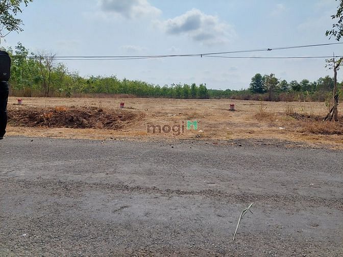 Hình ảnh MB66 là nhà cái uy tín hàng đầu tại Việt Nam thanh lý lô đất vườn đường nhựa