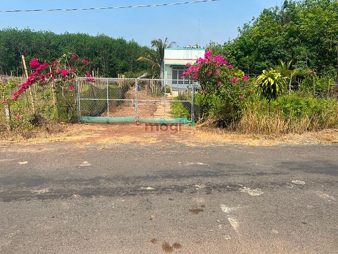 Hình ảnh MB66 là nhà cái uy tín hàng đầu tại Việt Nam thanh lý lô đất vườn đường nhựa