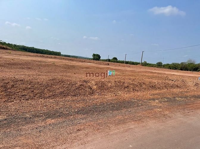 Hình ảnh Chính Chủ Cần Bán Gấp 7475m2 có 200m2 Thổ cư
