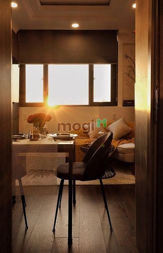 Hình ảnh Luxury penthouse Sân Vườn View Cực Chill