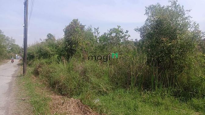 Hình ảnh Bán 5700m đất 3 mặt tiền đường Long Thuận, Long Phước, Thủ Đức, ngang