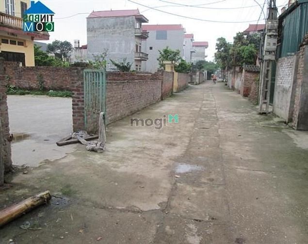 Hình ảnh bán đất chính chủ 57 m2 4.2x13.6 m thôn bắc xã kim nỗ đông anh