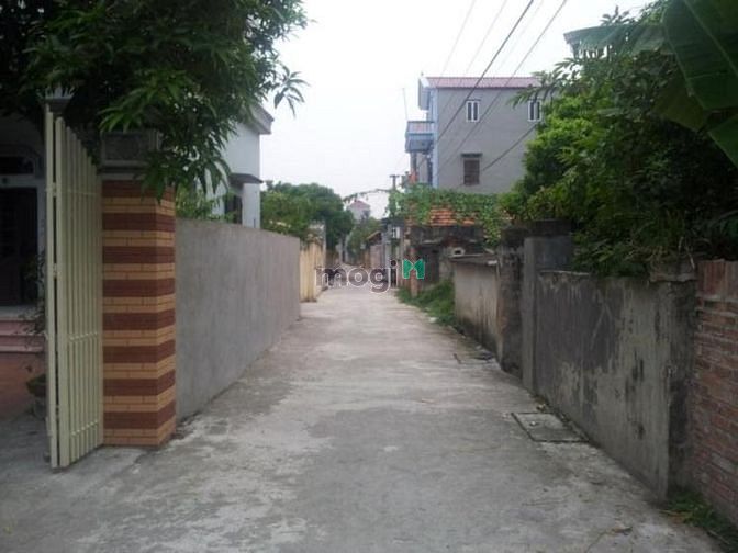 Hình ảnh bán đất chính chủ 57 m2 4.2x13.6 m thôn bắc xã kim nỗ đông anh