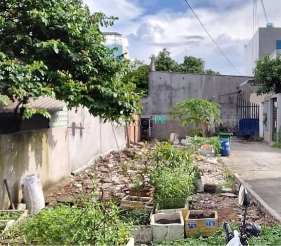 Hình ảnh Bán đất hẻm 63 ĐƯỜNG SỐ 8, LINH XUÂN, THỦ ĐỨC - 117m2