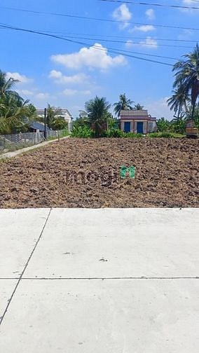 Hình ảnh Bán Đất Thị Trấn Tân Trụ Đường Xóm Chùa Ra Thị Mai