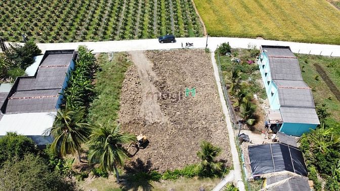 Hình ảnh Bán Đất Thị Trấn Tân Trụ Đường Xóm Chùa Ra Thị Mai