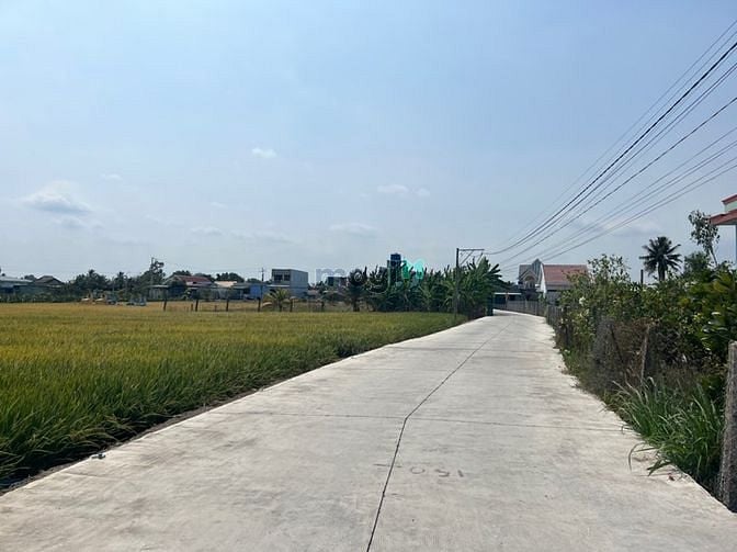 Hình ảnh Bán Đất Thị Trấn Tân Trụ Đường Xóm Chùa Ra Thị Mai
