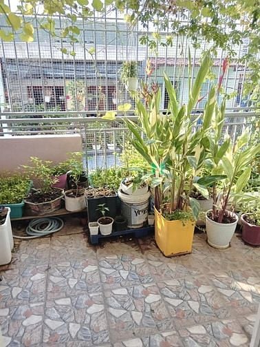 Hình ảnh Bán nhà Phạm Thế Hiển Quận 8. Diện tích đất 90m2