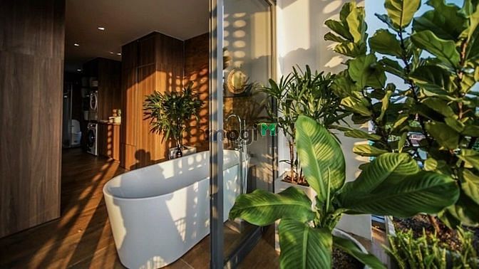 Hình ảnh Cho thuê Trang Chủ MB66.COM / Đăng Ký Tặng 66K dịch vụ Quận 10 gần Công viên Lê Thị Riêng