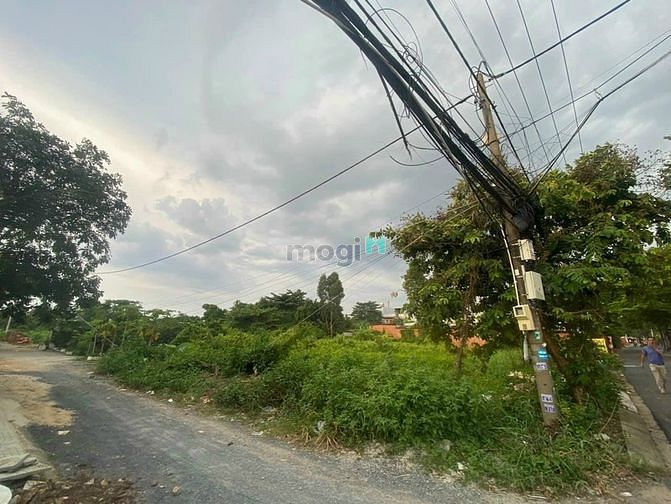 Hình ảnh Cho thuê 5.500m2 đất Vườn Lài ,Q12 - 120Tr/ tháng