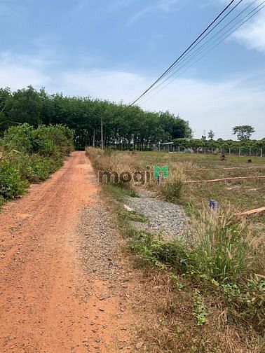 Hình ảnh Cần bán 140m2  Full Thổ Chỉ 380trieu hết đất  Cách KCN Phước Đông 5'