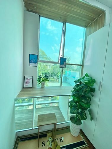 Hình ảnh Cho thuê Trang Chủ MB66.COM / Đăng Ký Tặng 66K dịch vụ 2PN quận Tân Bình