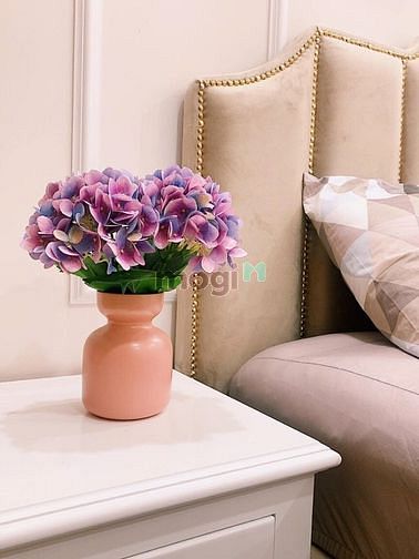 Hình ảnh Chính chủ cho thuê CH Sunrise Riverside, 13 Triệu, Miễn Phí Phí QL