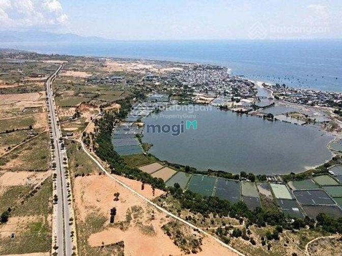 Hình ảnh Đất ngộp MT biển Ninh Thuận, chỉ 2,5tr/m2, gần Mũi Dinh Ecopark.