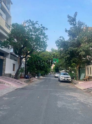 Hình ảnh ĐỪNG LICK VÀO XEM | có cá leo cây