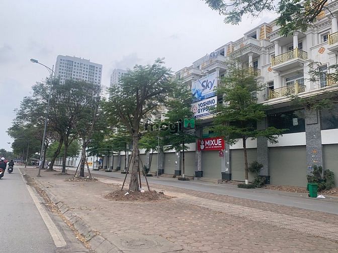Hình ảnh KĐT Geleximco Lê Trọng Tấn- Hà Đông