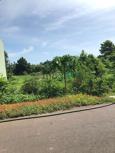Hình ảnh 1,4 sào Đất 2 mặt tiền đường nhựa lên được 800m2 Thổ Cư