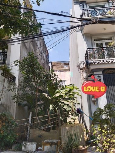 Hình ảnh Bán đất mặt tiền Nguyễn Công Trứ, P.19, 4 x 14 giá 9 tỷ tl
