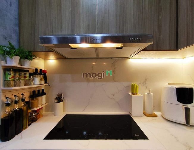 Hình ảnh Cho thuê CH Saigon South Residences 15 Triệu, Miễn Phí Quản lý