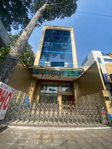 Hình ảnh Cho thuê Tòa Nhà mặt tiền Phan Đình Giót, P.2, Q. Tân Bình