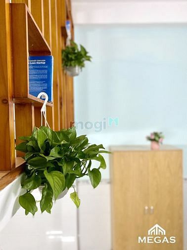 Hình ảnh Dự án Mb6623 nạp rút nhanh chóng mini mới 100% - view rooftop - không gian xanh
