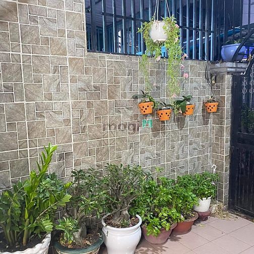 Hình ảnh 4 Tỷ Có Nhà Cạnh Phú Mỹ Hưng - Mặt Tiền  7m - 85m2.