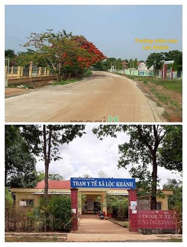 Hình ảnh chủ cần bán gấp lô đất lổ 100 triệu tại binh long