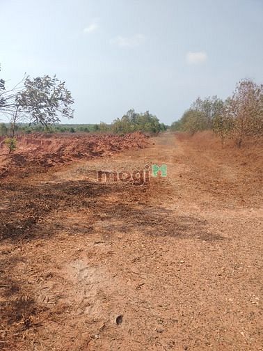 Hình ảnh Đất vườn giá Trang MB66.COM Chính Thức - MB 66 Uy Tín chuẩn quy hoạch Phan Thiết