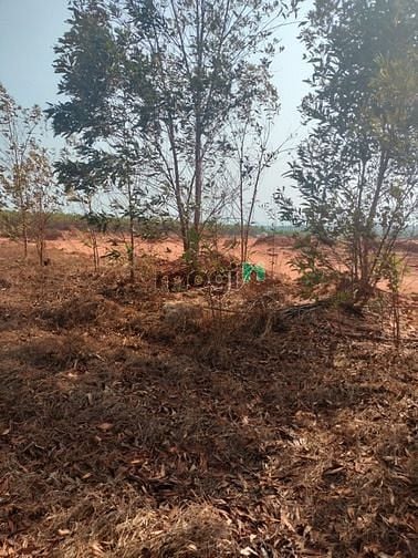Hình ảnh Đất vườn giá Trang MB66.COM Chính Thức - MB 66 Uy Tín chuẩn quy hoạch Phan Thiết