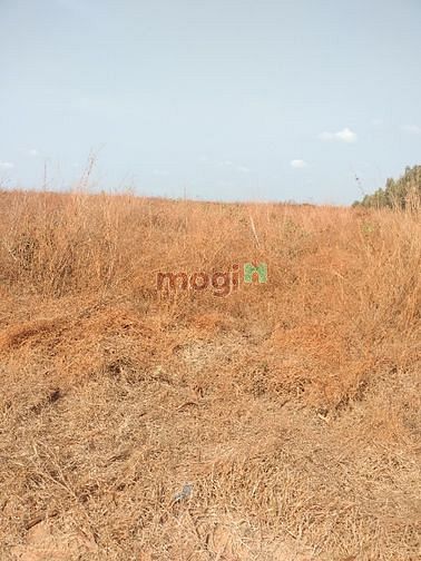 Hình ảnh Đất vườn giá Trang MB66.COM Chính Thức - MB 66 Uy Tín chuẩn quy hoạch Phan Thiết