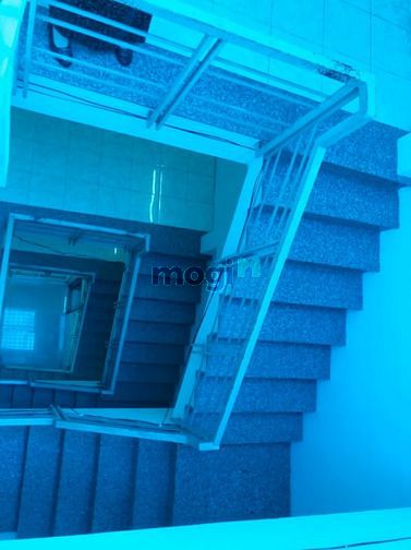 Hình ảnh Cho thuê nhà khu Bình Phú I, giá 15 triệu