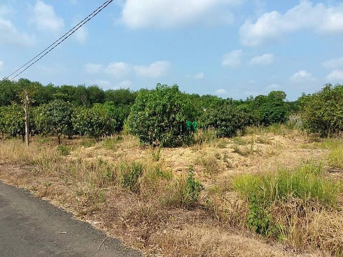 Hình ảnh Đất Thổ Cư Giá Công Nhân Sổ Sẵn Ký Công Chứng Ngay