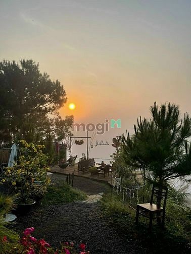 Hình ảnh Đất thổ cư cần bán gấp có sổ hồng riêng