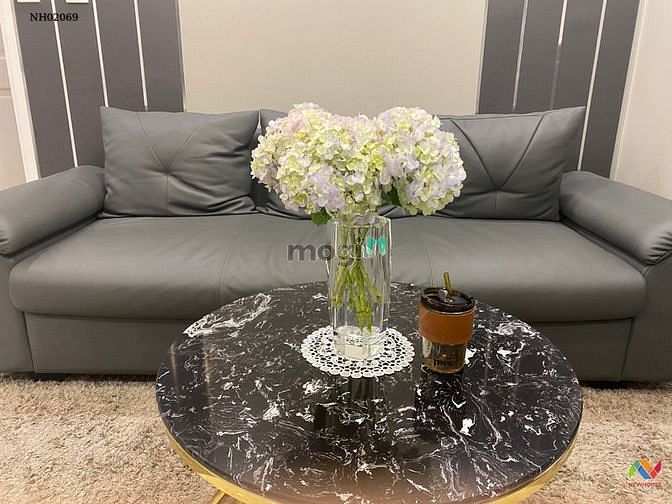 Hình ảnh Cho thuê Trang Chủ MB66.COM / Đăng Ký Tặng 66K Saigon Mia, 2pn2wc full nt giá 15tr, 3pn-17.5tr