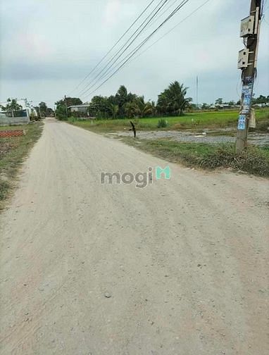 Hình ảnh 1000m ( có 700m2 thổ cư), Tân Thạnh Đông, Củ Chi. Giá 8,3 tỷ