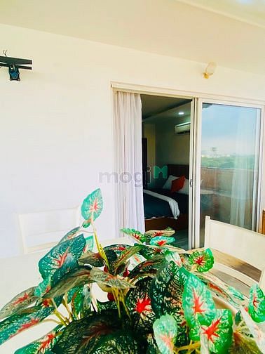 Hình ảnh 💫⚡️Căn Hộ 1PN luxury 🛵 Chợ Bến Thành 📍Q.1