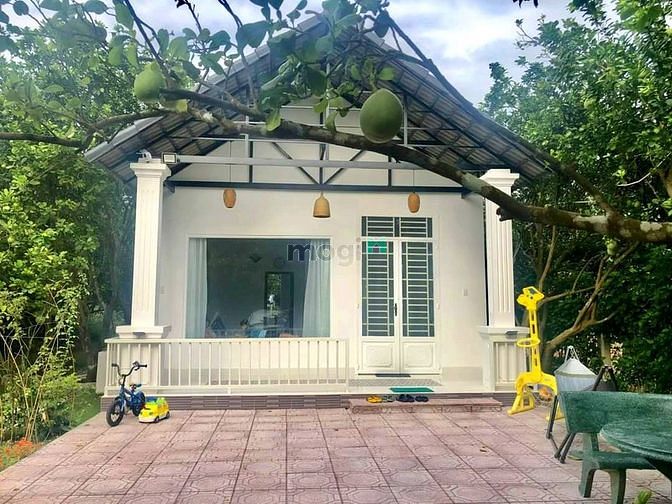 Hình ảnh SIÊU HOT! Bán nhà Biệt thự sân vườn nghỉ dưỡng Củ Chi, 589m2 hơn 4tỷ