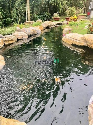 Hình ảnh SIÊU HOT! Bán nhà Biệt thự sân vườn nghỉ dưỡng Củ Chi, 589m2 hơn 4tỷ