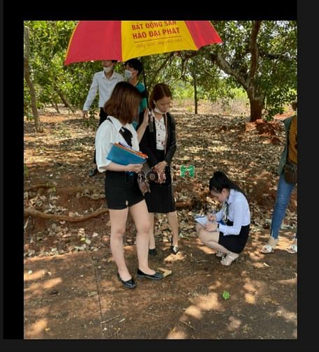 Hình ảnh Đất Lộc Ninh - Lộc Quang - Bình phước Sổ Sẵn  Giá Rẻ