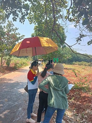 Hình ảnh Đất Lộc Ninh - Lộc Quang - Bình phước Sổ Sẵn  Giá Rẻ