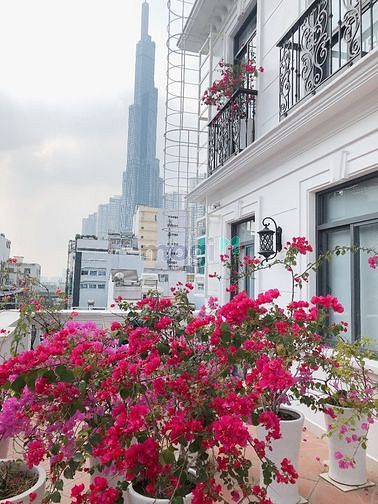Hình ảnh ✨✨Căn Hộ Studio Cao Cấp_Full Nội Thất_Siêu Đẹp tại Bình Thạnh