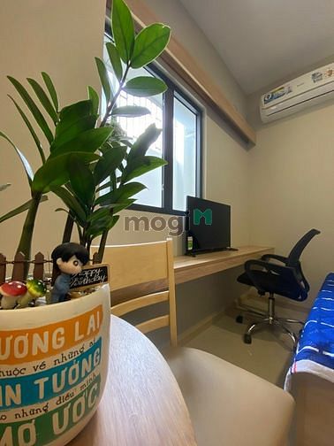 Hình ảnh 4P APARTMENT - Studio - Full Nội Thất - Phú Mỹ Ngay Khu Vực Trung Tâm