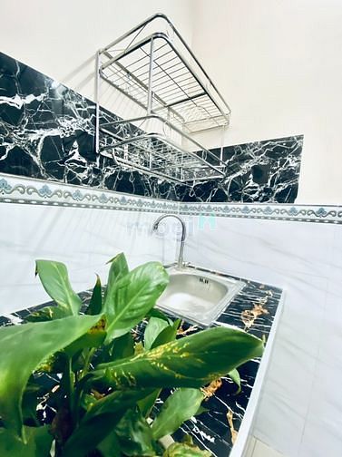 Hình ảnh Phòng trọ cao cấp - Công viên Phú Lâm
