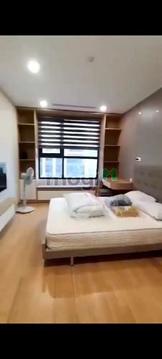 Hình ảnh Chính chủ cho thuê CC The Zei 3 PN full nội thất xách vali vào ở luôn