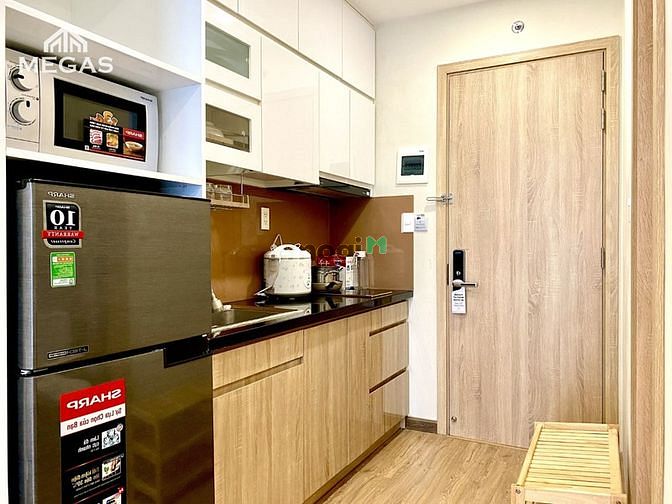 Hình ảnh Cho thuê 1PN Thảo Điền Quận 2, chỉ tính mỗi điện, bao phí