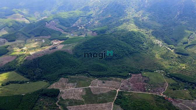 Hình ảnh Bán 22 ha đất RSX Ninh Tân - Ninh Hòa