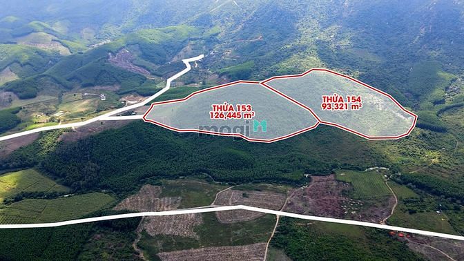 Hình ảnh Bán 22 ha đất RSX Ninh Tân - Ninh Hòa