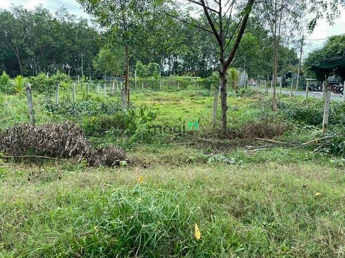 Hình ảnh 430m2 đất thổ cư, AN NHƠN TÂY, CỦ CHI. Giá 1,75 TỶ (L2/4)
