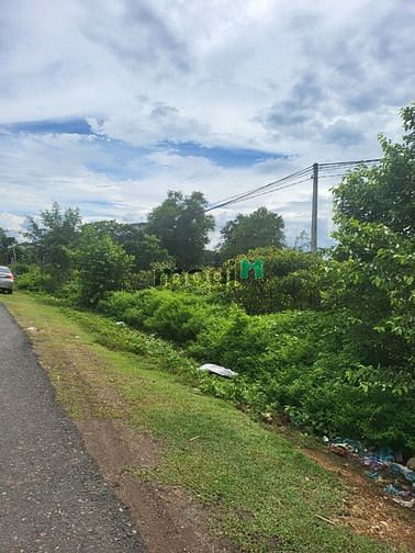 Hình ảnh Bán lô đất mặt tiền đường chính tỉnh lộ 1 Buôn Đôn kinh doanh doanh ốt